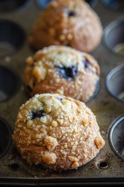 Muffins de mirtilo Fotografia De Stock