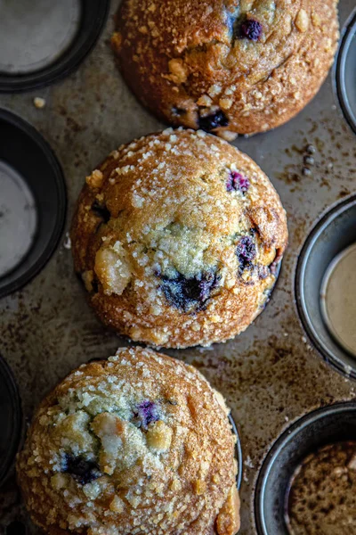 Muffins aux myrtilles Images De Stock Libres De Droits