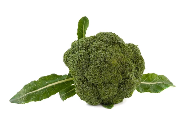 Поживні брокколі з зеленим листям ізольовані на білому тлі. свіжі овочі — стокове фото