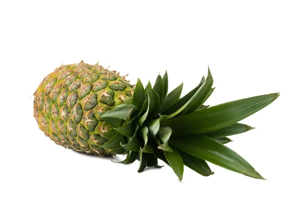 Helt Mogna Och Saftiga Tropiska Hawaii Ananas Isolerad Vit Bakgrund — Stockfoto