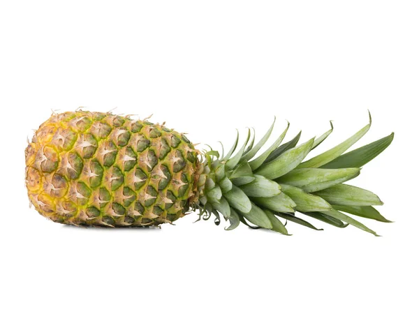 Hel Moden Saftig Tropisk Hawaiiansk Ananas Isoleret Hvid Baggrund - Stock-foto