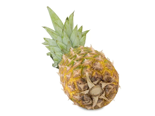 Una Piña Tropical Hawaiana Madura Jugosa Aislada Sobre Fondo Blanco — Foto de Stock