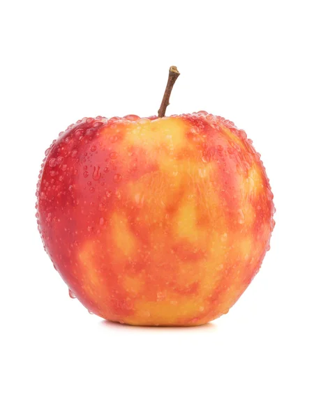 一个在白色背景下被隔离的明亮的红色苹果 富含维生素的健康和有机水果 新鲜水果概念 — 图库照片