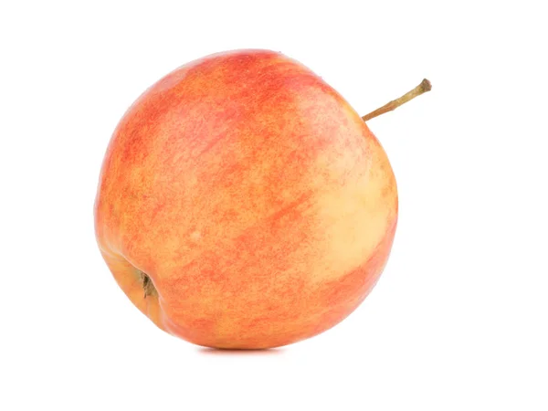 一个在白色背景下被隔离的明亮的红色苹果 富含维生素的健康和有机水果 夏日水果概念 — 图库照片