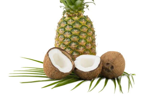 Sammansättning Hel Ananas Och Kokos Bitar Exotisk Och Tropiska Frukter — Stockfoto