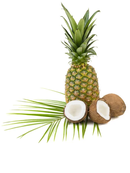 Een Samenstelling Van Een Hele Ananas Kokos Stukken Een Exotische — Stockfoto