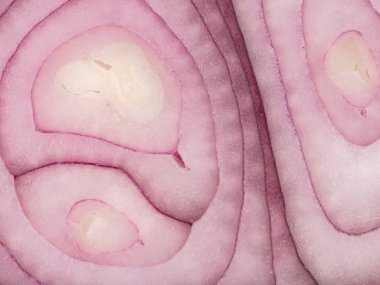 Arka plan olarak ham taze ve kırmızı dilimlenmiş soğan halkaları. Sağlıklı sebze vitaminler tam bir kavramı.