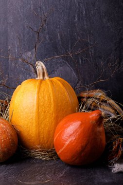 Halloween closeup kabak kafa. Üç Turuncu kabak koyu arka plan üzerinde. Sonbahar tatil kavramı.