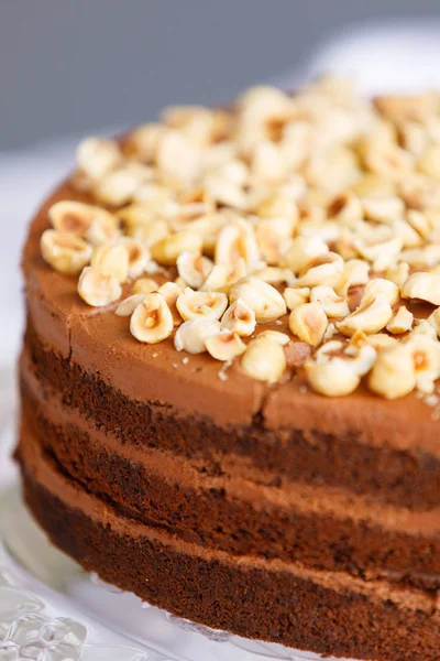 Güzel pasta. kek ve kurabiye. Top kek, kek ve diğer tatlı tatlılar tatlı tatil büfe