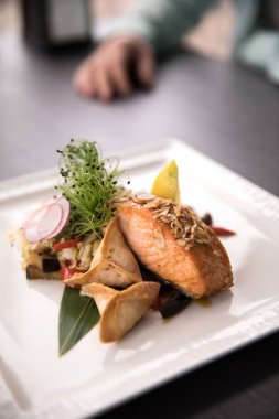 Restoran yemekleri. Plaka üzerinde taze salata ile plate.fried somon üzerinde güzel ve lezzetli yemekler
