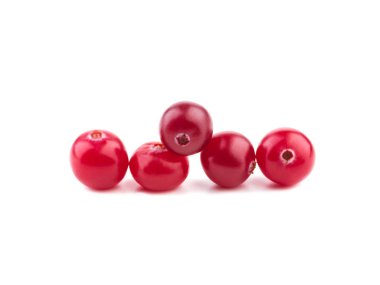 Kızılcık izole. İzole üzerinde beyaz arka plan ile olgun kızılcık yaprakları