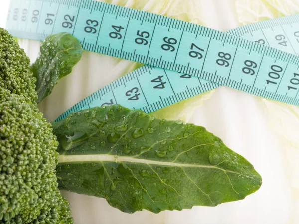 Cabbage isolated on white background.Fresh roman lettuce isolated on white background.savoy cabbage on white background