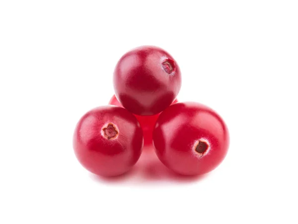 小红莓孤立 成熟的蔓越莓与叶上孤立的白色背景 — 图库照片