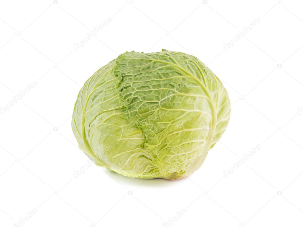 Cabbage isolated on white background.Fresh roman lettuce isolated on white background.savoy cabbage on white background