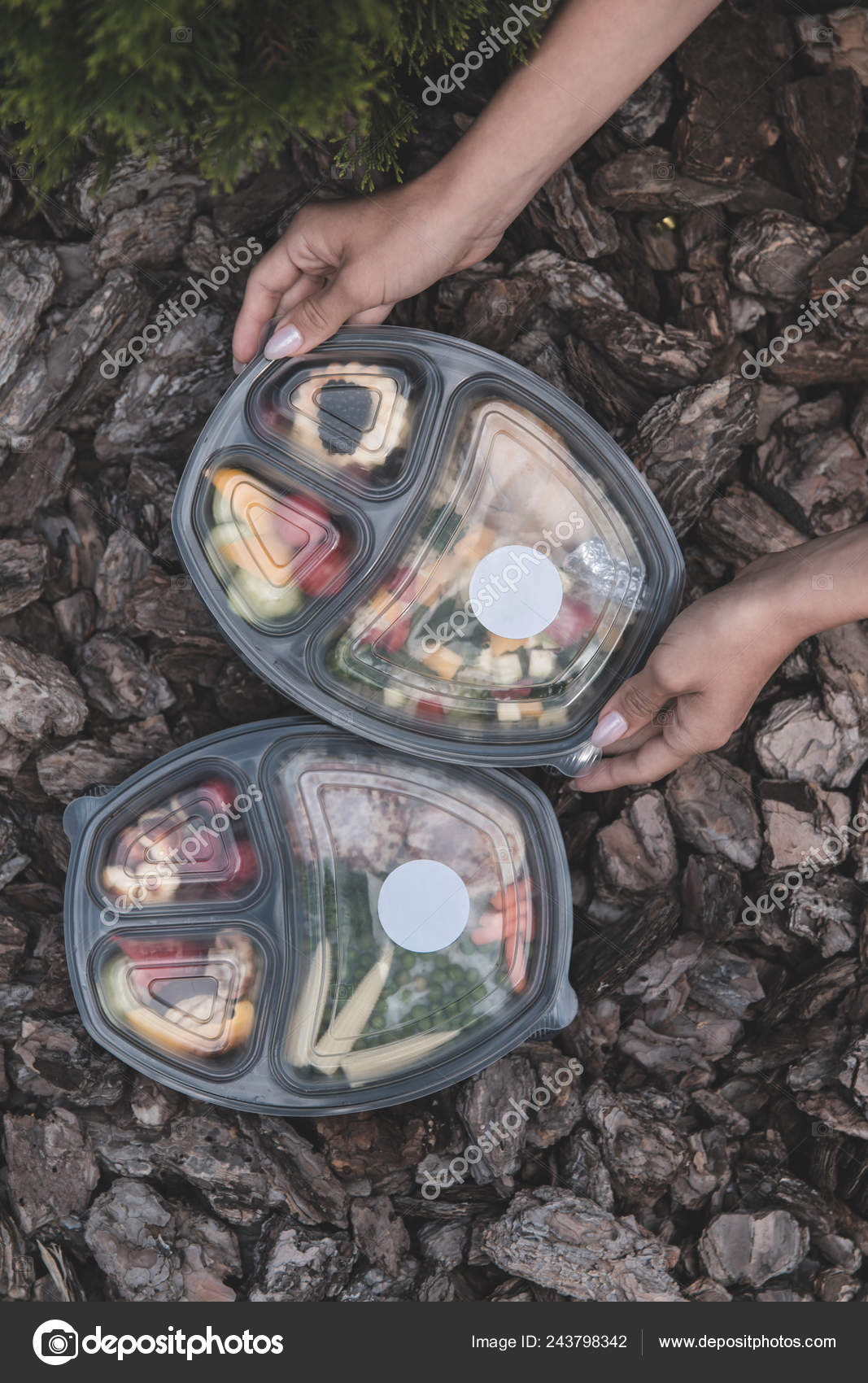 Collection Take Away Foil Boxes Healthy Food Take Away Foil Stock Photo