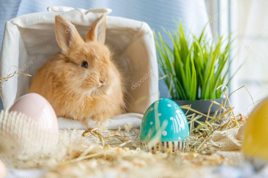 Close-up picture of an Easter bunny that sits in a wicker white basket, sits near the window, next to it are Easter eggs, blue and white. Holidays concept.