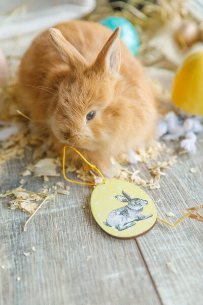 Close-up of a rabbit sitting on against a wicker white basket, next to it is a white egg. Easter, Easter Bunny. Holiday concept.