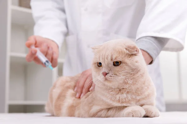 Veselý mladý veterinář je injekční pet — Stock fotografie