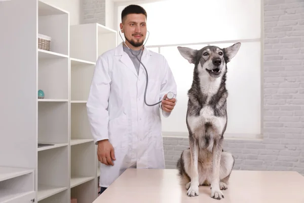 cropped view of veterinarian in white coat.medicine, pet, animals, health care and people concept - happy veterinarian or doctor with dog at vet clinic