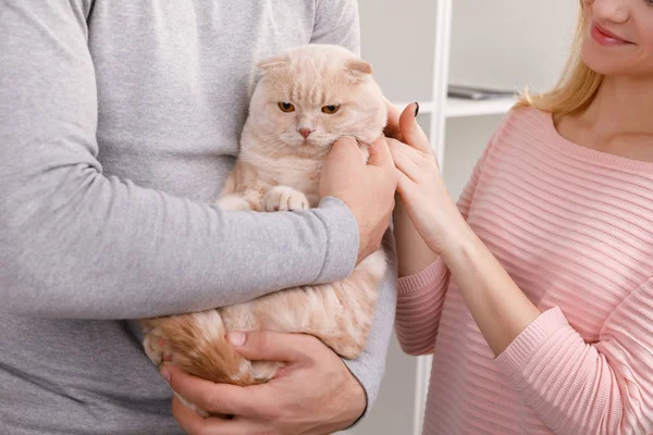 Happy couple with cat at veterenary clinic — Stock Photo, Image