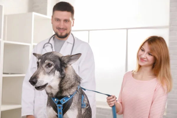 Medicina, mascotas, animales, cuidado de la salud y el concepto de personas — Foto de Stock