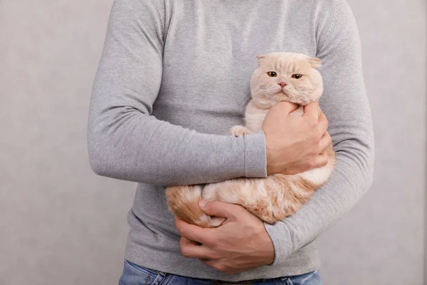 Young man holds cute cat in hands — Stock Photo, Image