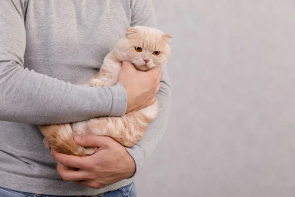 Young man holds cute cat in hands — Stock Photo, Image