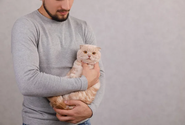 Young man holds cute cat in hands — Stock Photo, Image