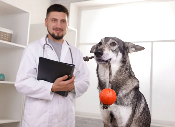 Medicina, mascotas, animales, cuidado de la salud y el concepto de personas — Foto de Stock
