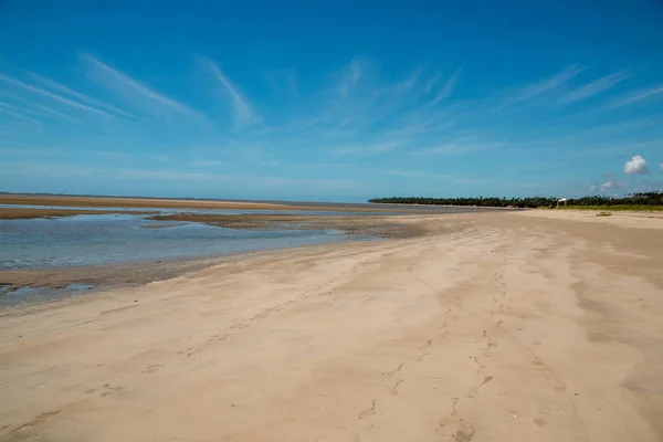 Lone Stretch Beach Low Tide Nordeste Brasil Conhecido Como Costa — Fotografia de Stock