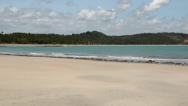 Stränderna Nordöstra Delen Brasilien Kallas Även Korallkusten Den Staten Alagoas — Stockvideo