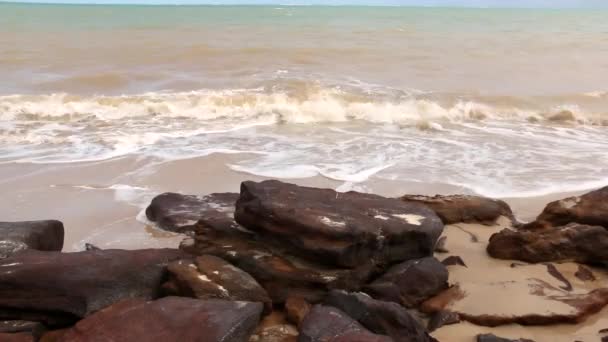 Rocha Vermelha Longo Litoral Costa Coral Estado Alagoas — Vídeo de Stock