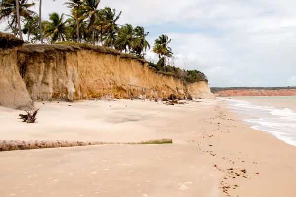 Lone Stretch Deserted Beach Largo Costa Noreste Brasil Estado Alagoas — Foto de Stock