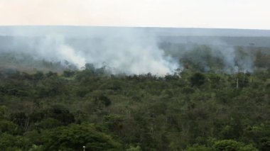 Yangınlar yanma Ulusal Park Brasilia, Brezilya
