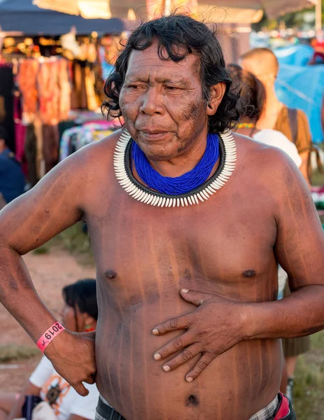 Brasilien April 2019 Indigene Aus Verschiedenen Teilen Brasiliens Kommen Einer — Stockfoto