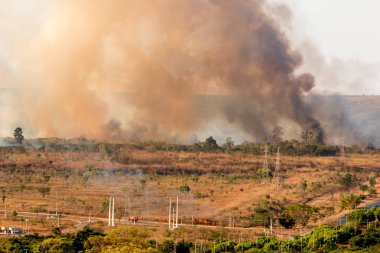 Brasilia'nın Kuzey Yakasındaki Şehir Sınırları'nda Kontrolden Çıkan Vahşi Yangınlar.