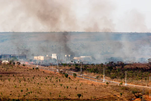 Brasilia'nın Kuzey Yakasındaki Şehir Sınırları'nda Kontrolden Çıkan Vahşi Yangınlar.