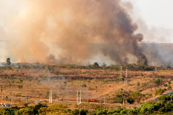 Brasilia'nın Kuzey Yakasındaki Şehir Sınırları'nda Kontrolden Çıkan Vahşi Yangınlar.