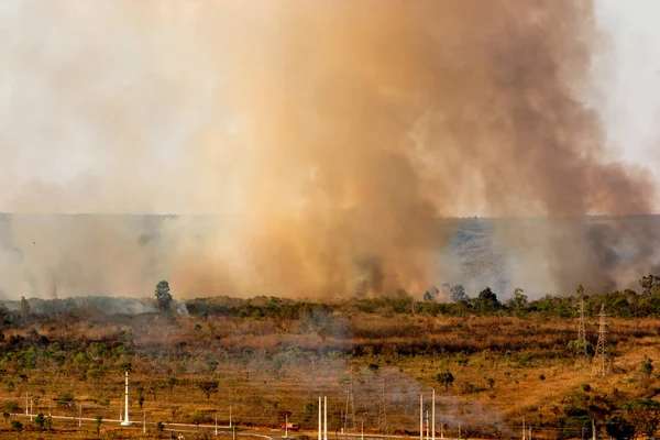 Wild Fires Burning out of control in the City Limits on the North Side of Brasilia.