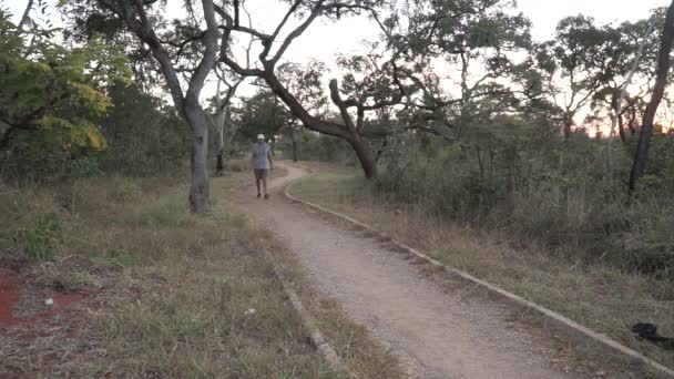 Man Wandelend Een Wandelpad Burle Marx Park Noordwest Brasilia Brazilië — Stockvideo