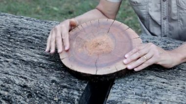Biyolog Brezilya 'nın Brasilia kentindeki yerel bir parkta kesilen bir ağacın halkalarını inceliyor.