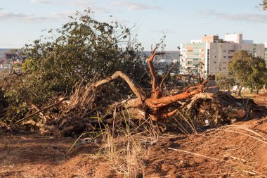 Brezilya, Brezilya 5 Ağustos 2020: Kuzeybatı Brasilia 'da Noroeste olarak bilinen yeni bir yola yer açmak için yerli halkın yaşadığı topraklar boşaltılıyor  