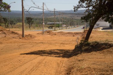 Brezilya, 20 Ağustos 2020: Kuzeybatı Brasilia 'da Noroeste olarak bilinen yeni bir yola yer açmak için yerli halkın yaşadığı topraklar boşaltılıyor.  