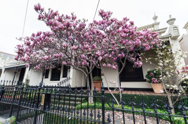 Melbourne, Avustralya - 8 Ağustos 2015: East Melbourne iç banliyösünde, tarihi teras evler için bilinir. Melbourne zengin parçalarından biridir.