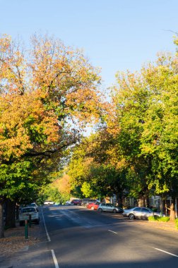Yackandandah, Avustralya - 30 Nisan 2018: High Street Yackandandah, Indigo Shire Kuzey-Doğu Victoria, bir küçük turistik kasaba ana cadde olan.