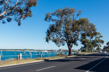 Esplanade Drumcondra Geelong, Avustralya üzerinden orta Geelong görünümünü.