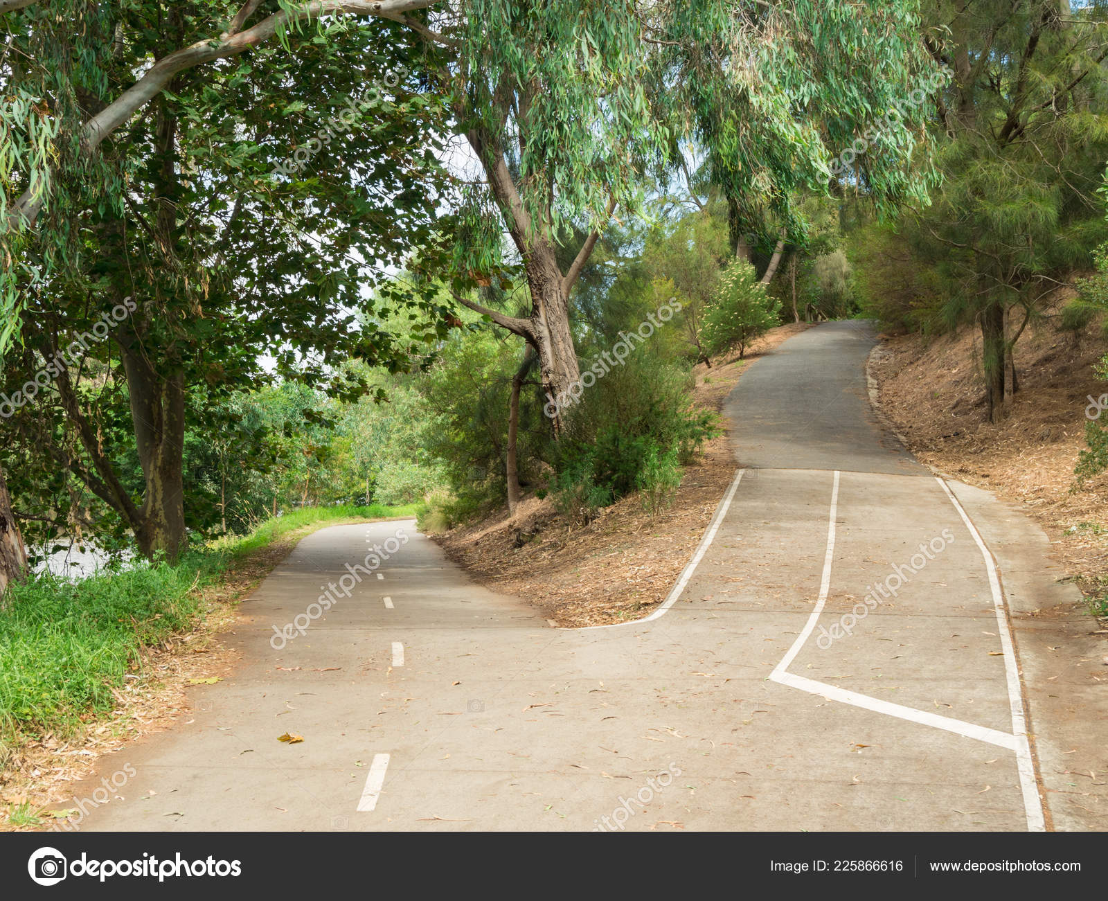 Junction Bike Path One Path Heading Other Richmond Banks Yarra