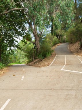 Bir Kavşağı'nda bir bisiklet yolu, yukarı doğru bir yol ve diğer aşağı, Melbourne, Avustralya Yarra Nehri boyunca Richmond.