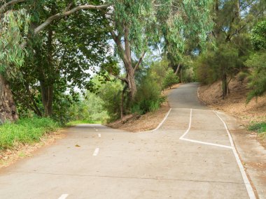 Bir Kavşağı'nda bir bisiklet yolu, yukarı doğru bir yol ve diğer aşağı, Melbourne, Avustralya Yarra Nehri boyunca Richmond.