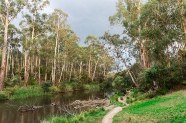 Parça Melbourne kuzeydoğu dış banliyölerinde Warrandyte Yarra Nehri boyunca yürüyüş
